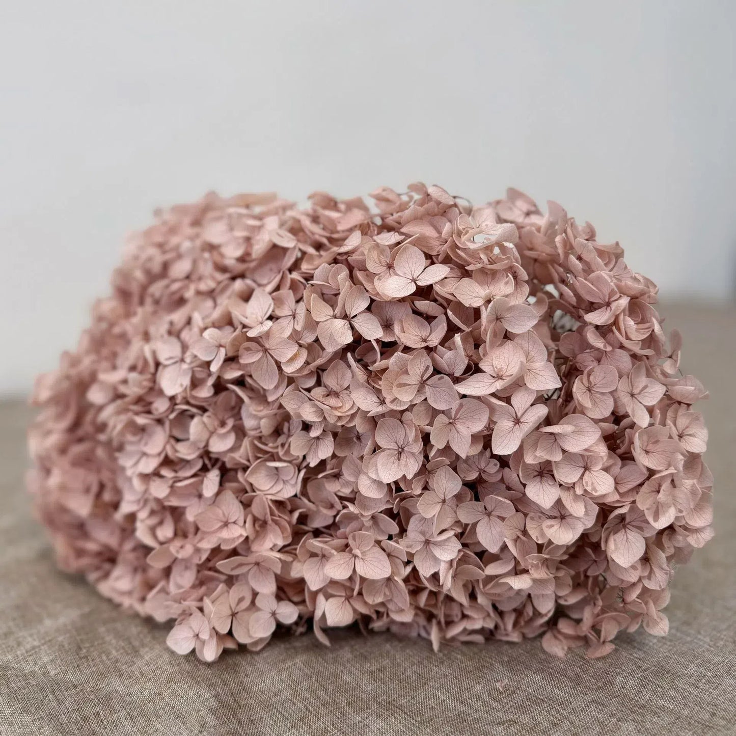 Everlasting Dried Anna Hydrangea Bouquet - Miss One